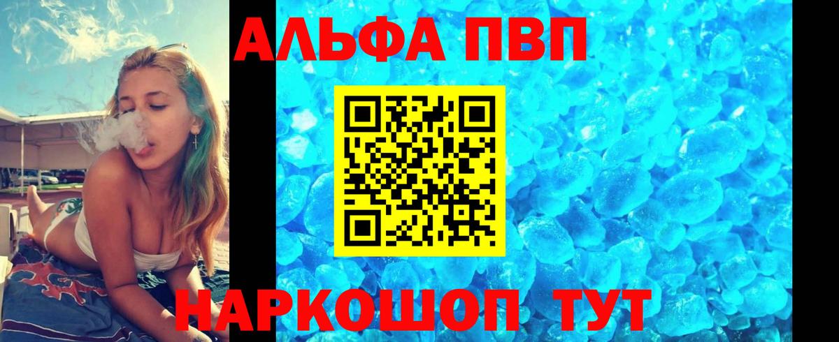 Альфа ПВП СК Геленджик