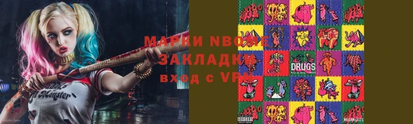 индика Снежногорск