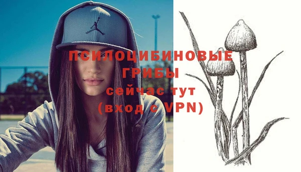 винт Алексин