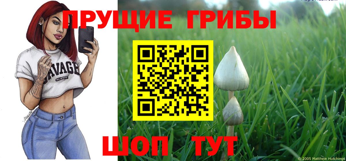 Геленджик  Галлюциногенные грибы прущие грибы  Вход с VPN  Галлюциногенные грибы Magic Shrooms 
